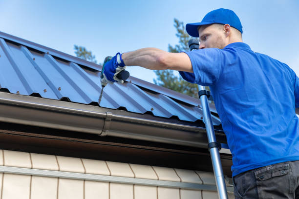 Best Skylight Installation and Repair  in Neoga, IL